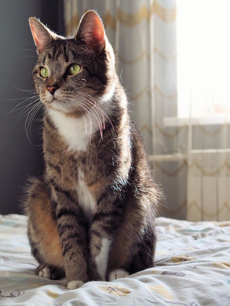 Photograph by Сапронова Евгения