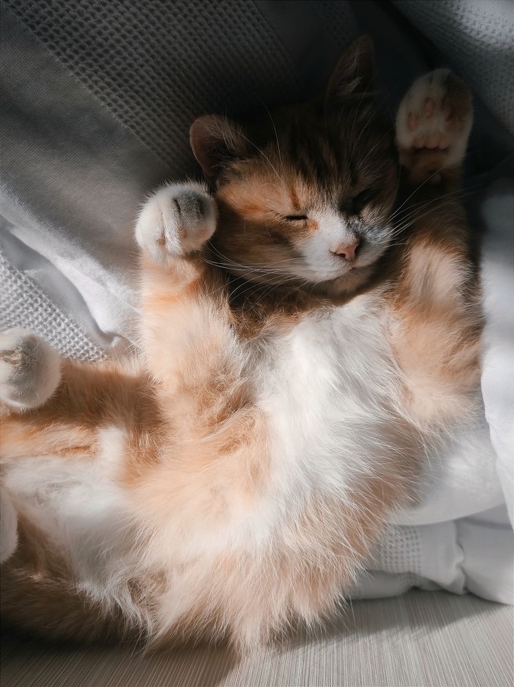 Photograph by Марина Хохрякова