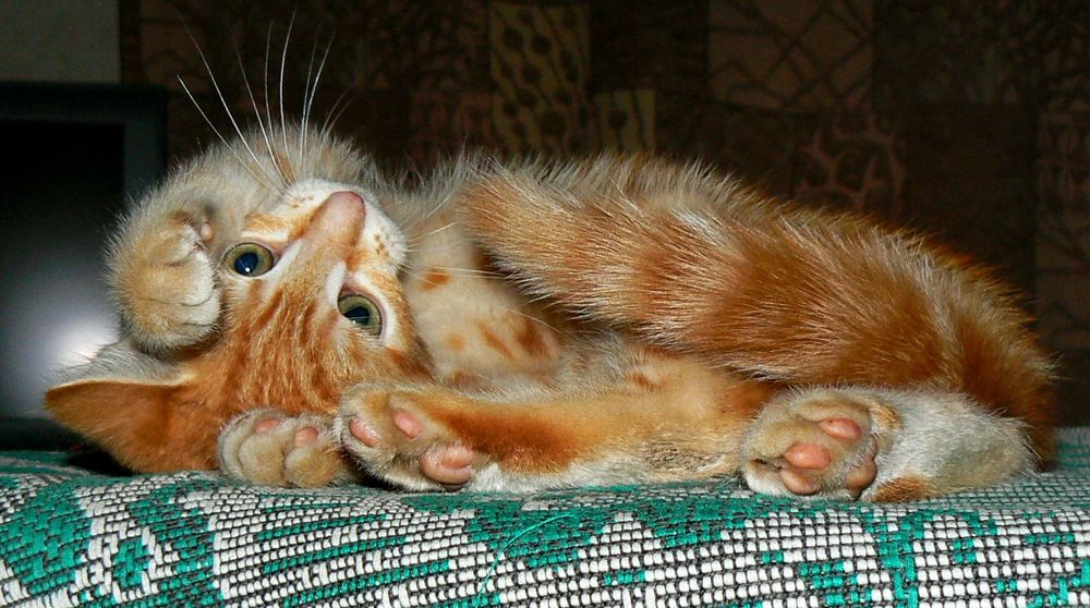 Photograph by Sergei Petrov