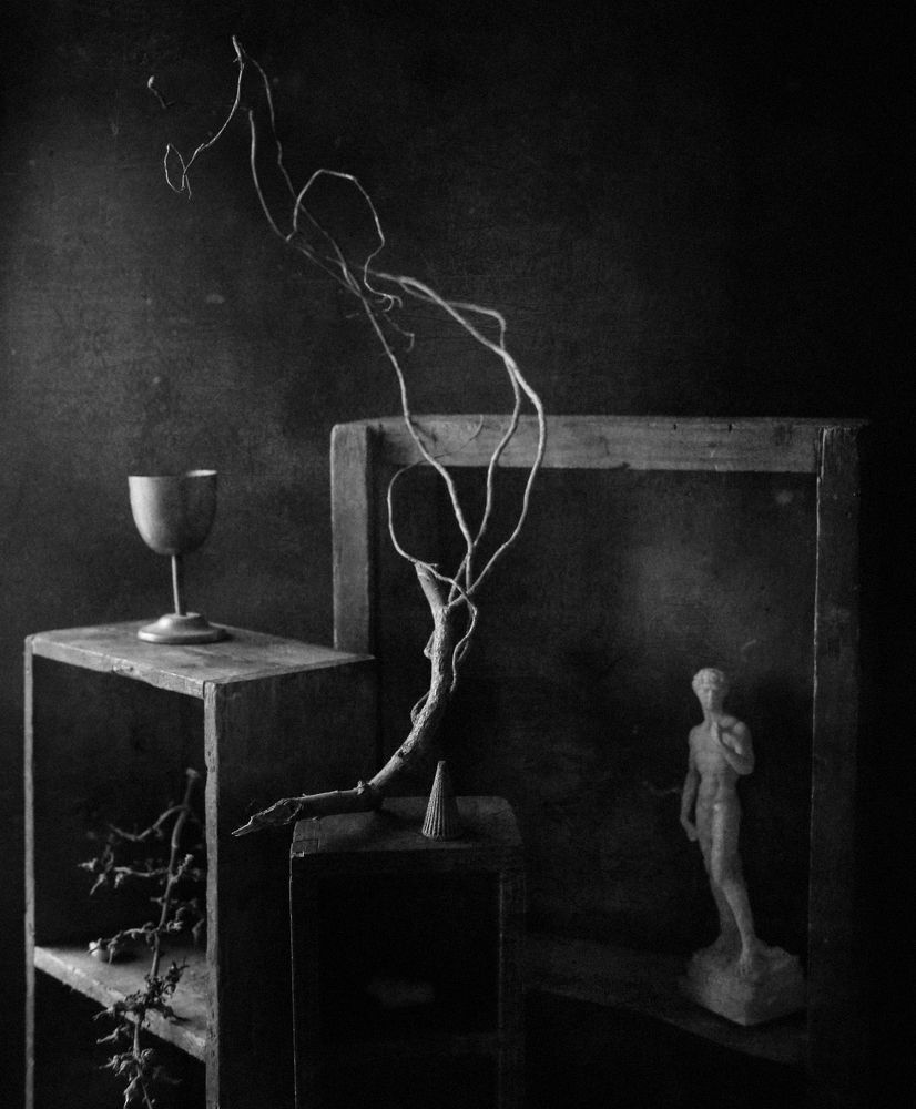 Photograph by Мария Сапего