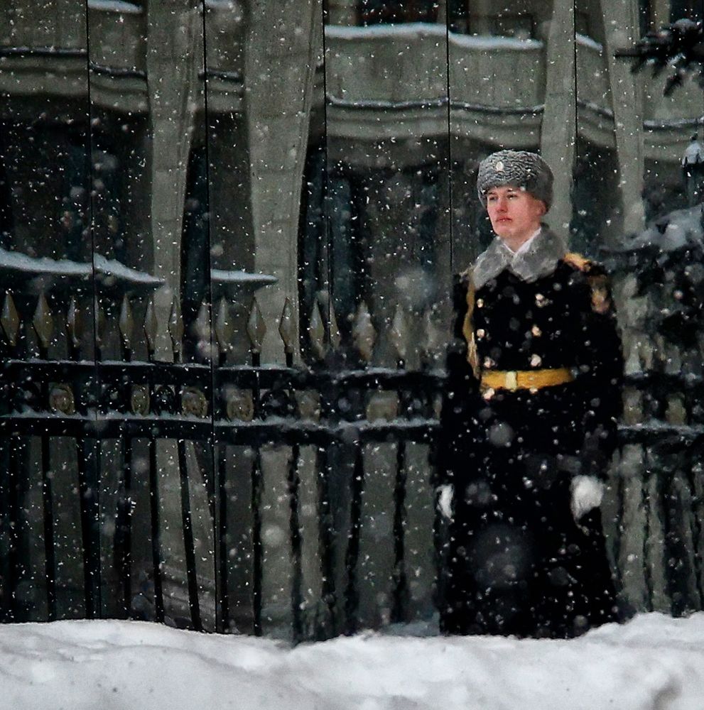 Фотография автора Елена Лаврова