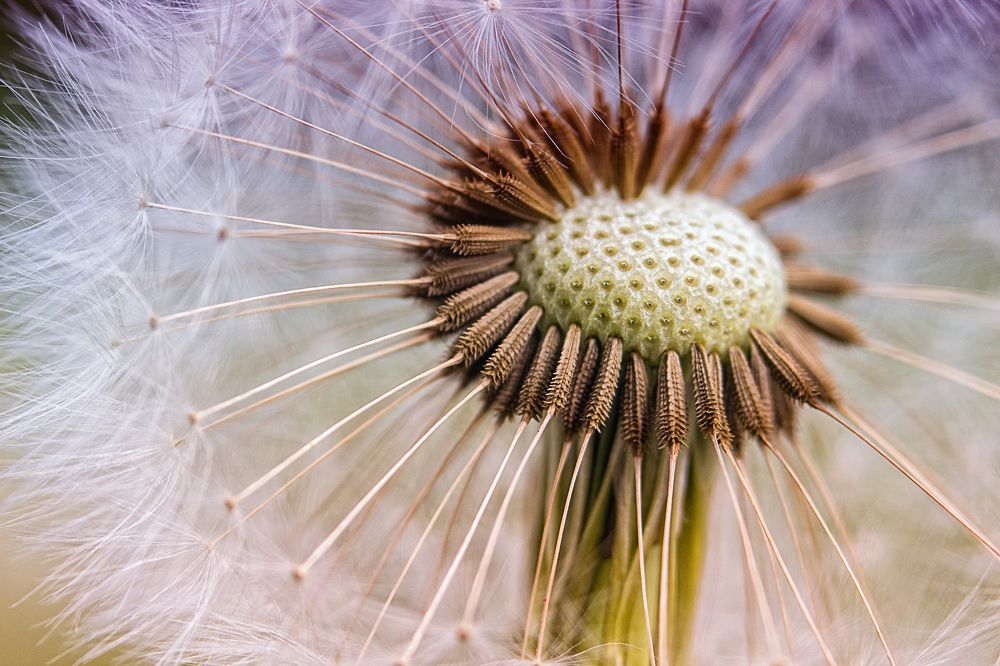 Photograph by Ольга Гоглова