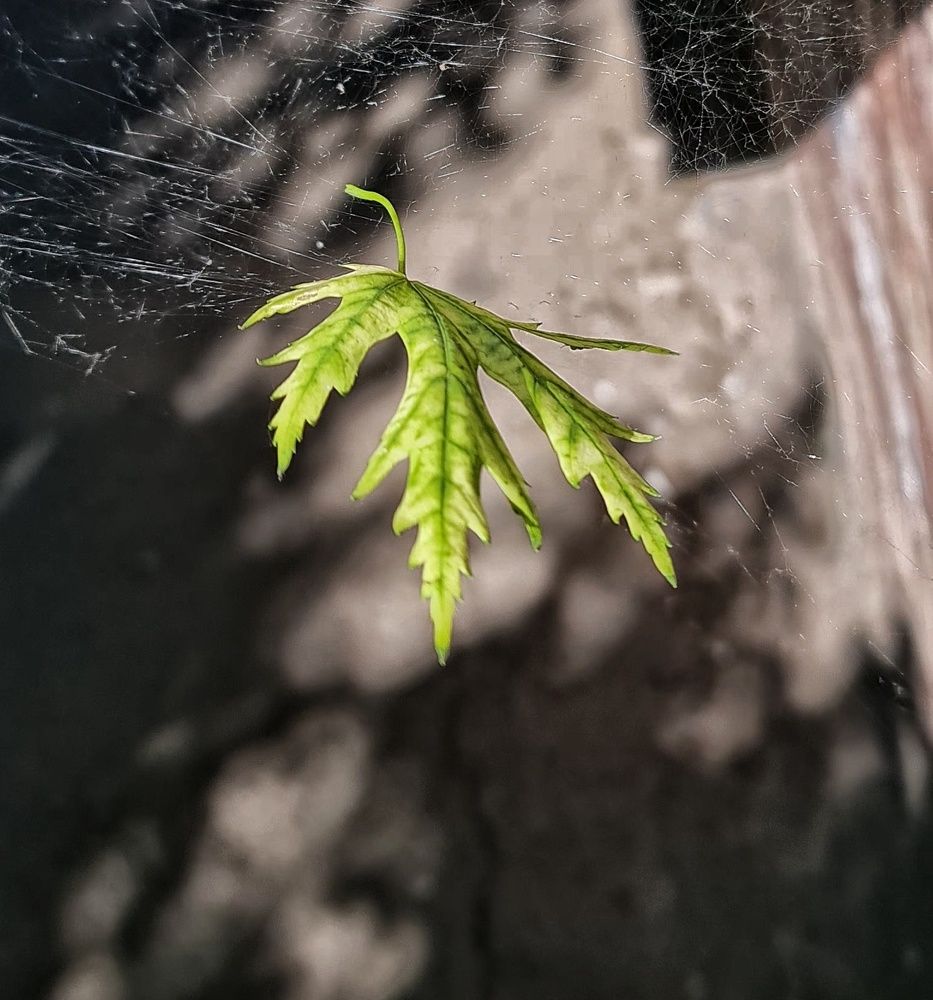 Фотография автора Igor Dyomin