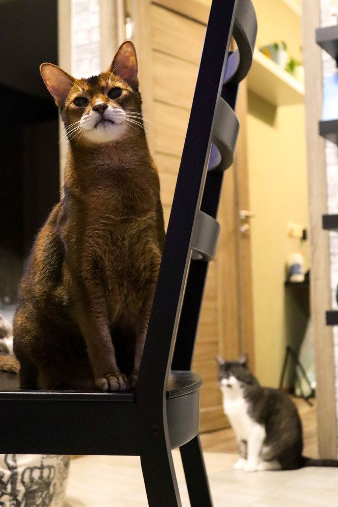 Photograph by Ксения Щукина