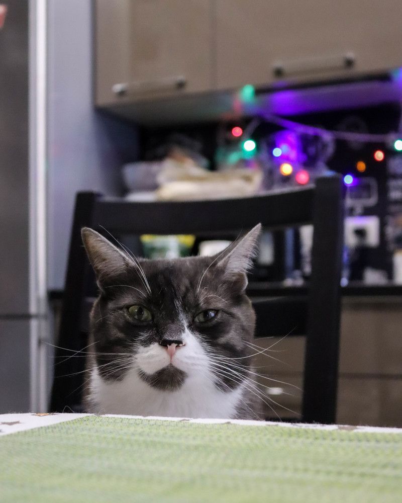 Photograph by Ксения Щукина