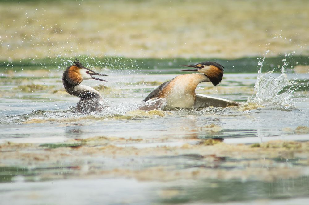 Фотография автора Суслов Дмитрий