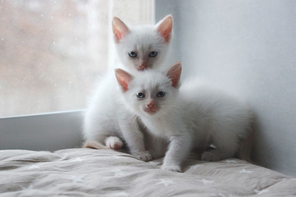 Photograph by Ольга Кочнева