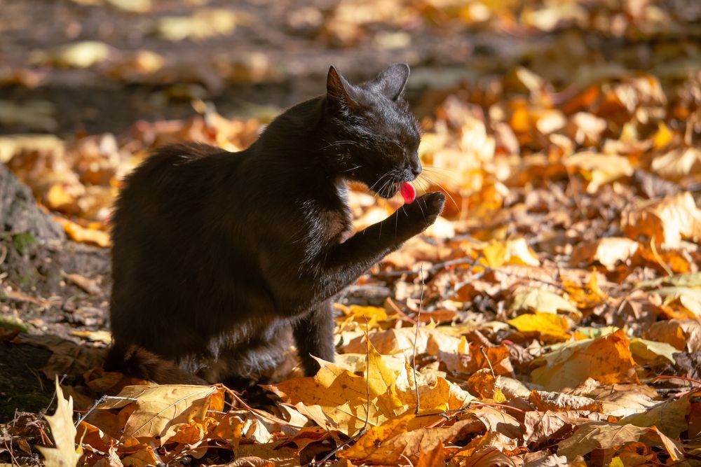 Photograph by Olga Mendosa