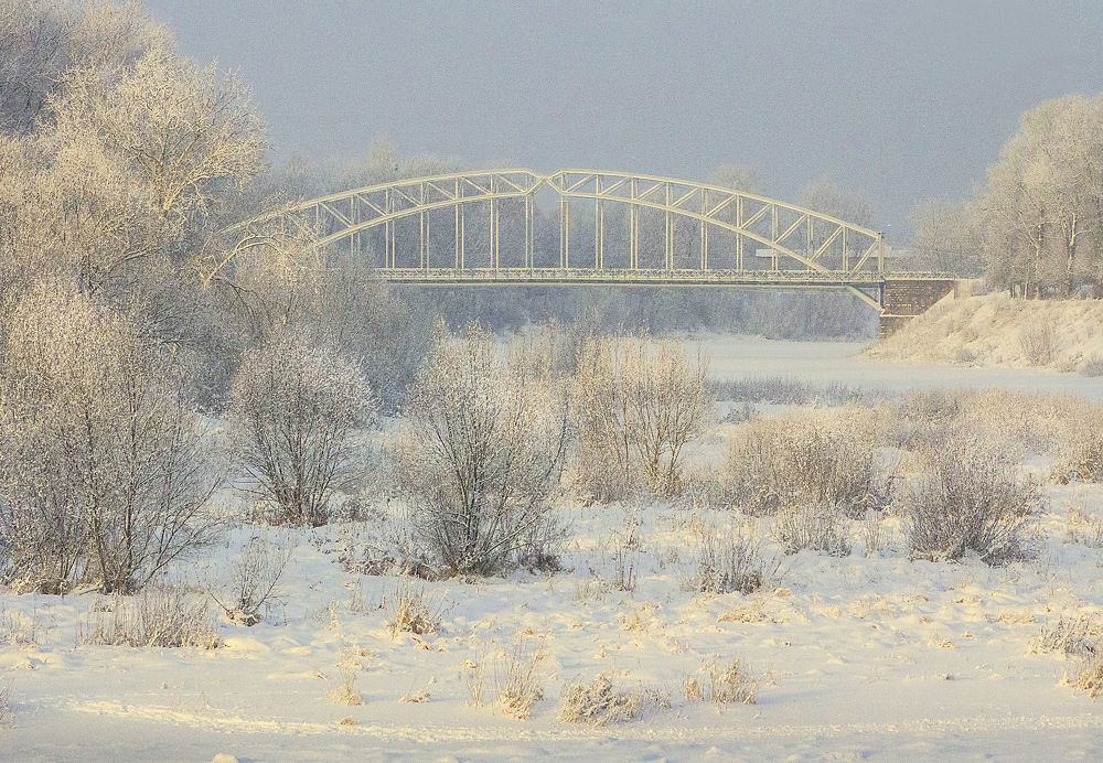 Визитная карточка Боровичей.