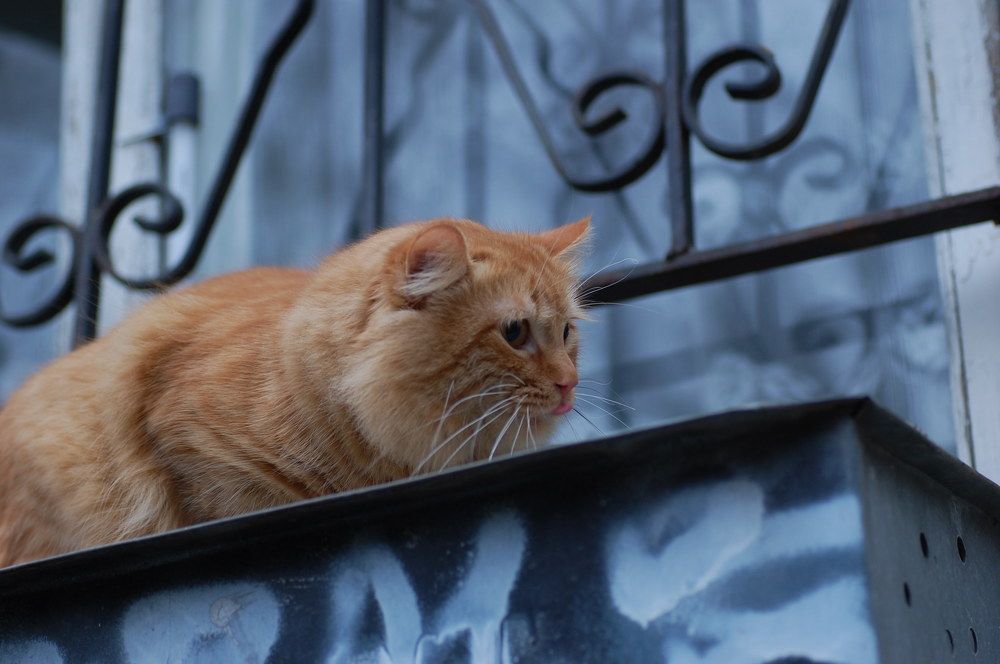 Photograph by Дерезюк Юрий Александрович