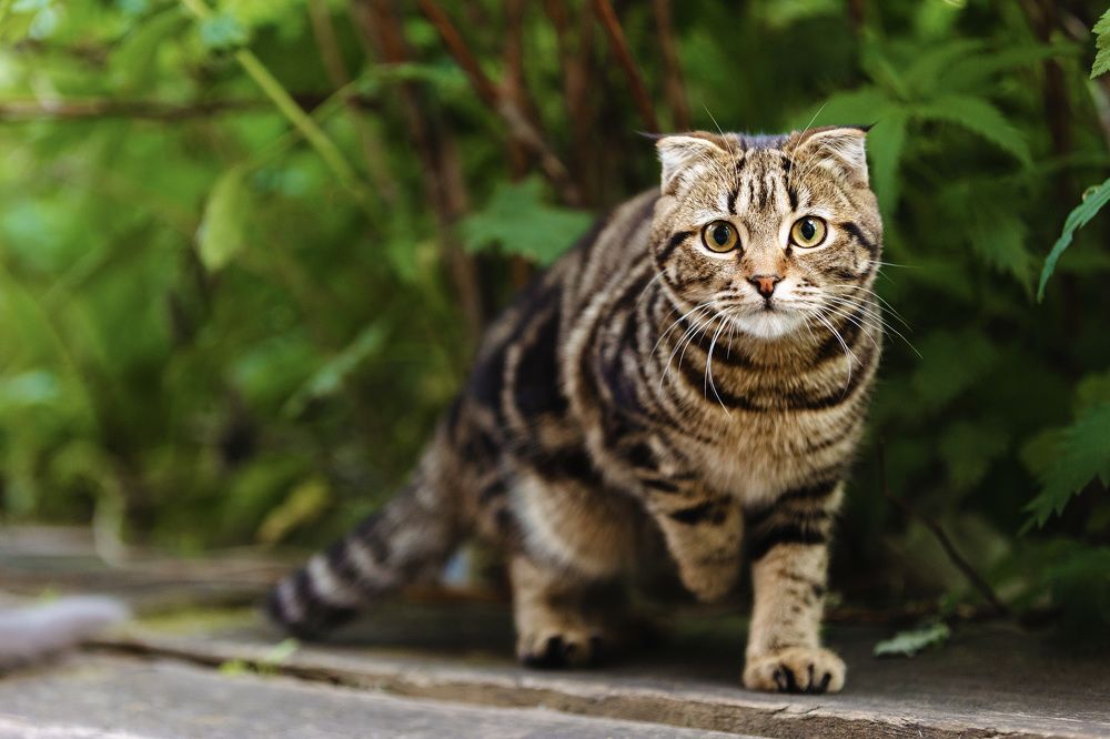 Фотография автора Алексей Крючков