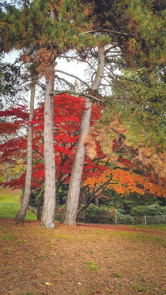 Фотография автора Volha Sidarenka