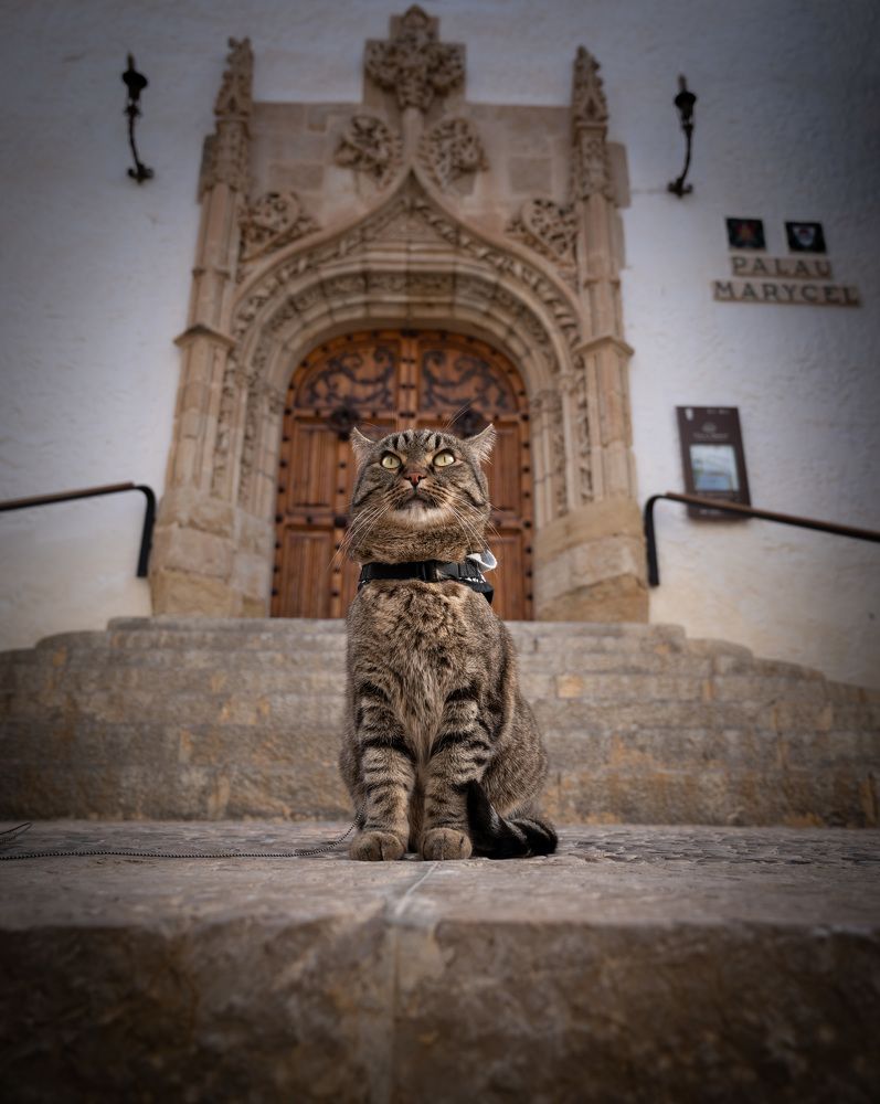 Фотография автора Ilia Vytnov