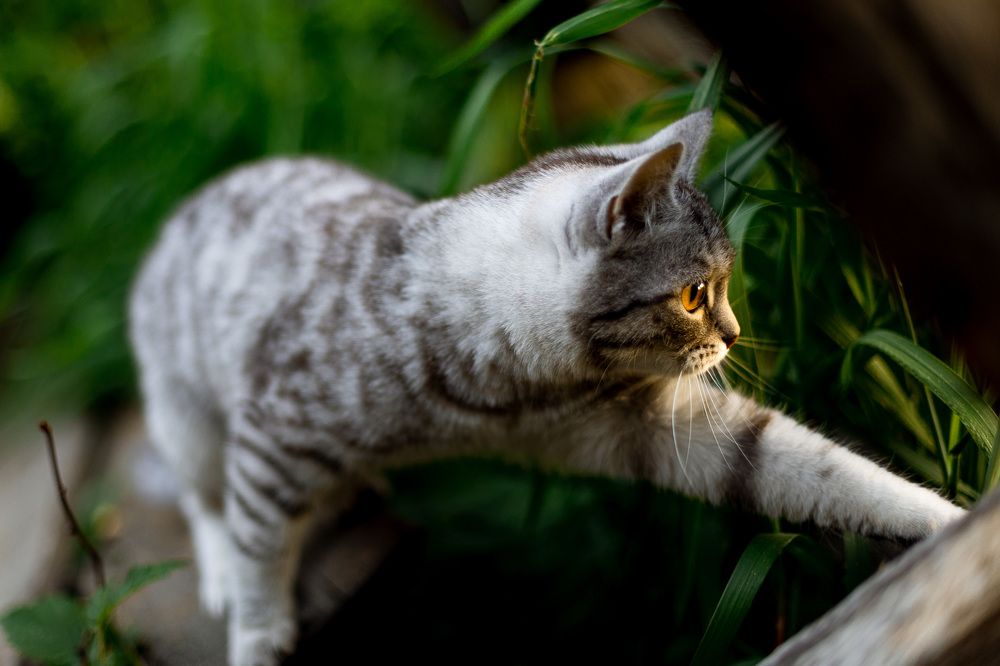 Фотография автора Алексей Крючков