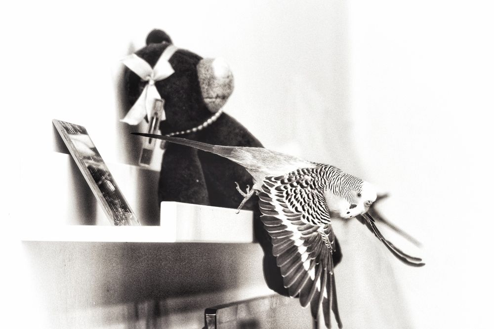 Photograph by Алексей Кроль