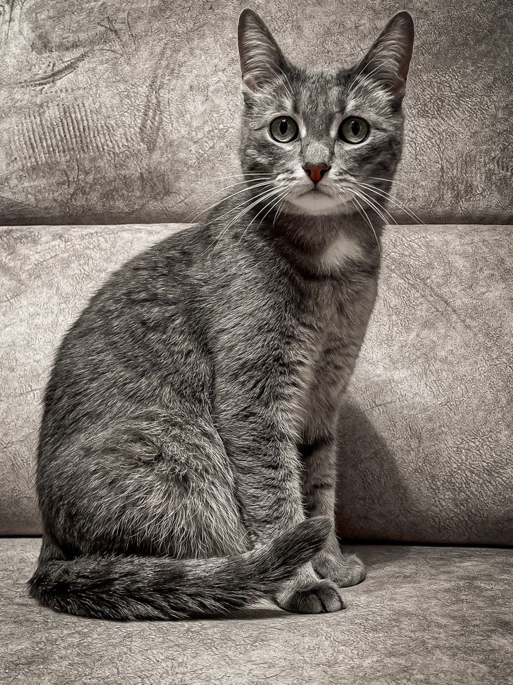 Photograph by Юлия Андреева