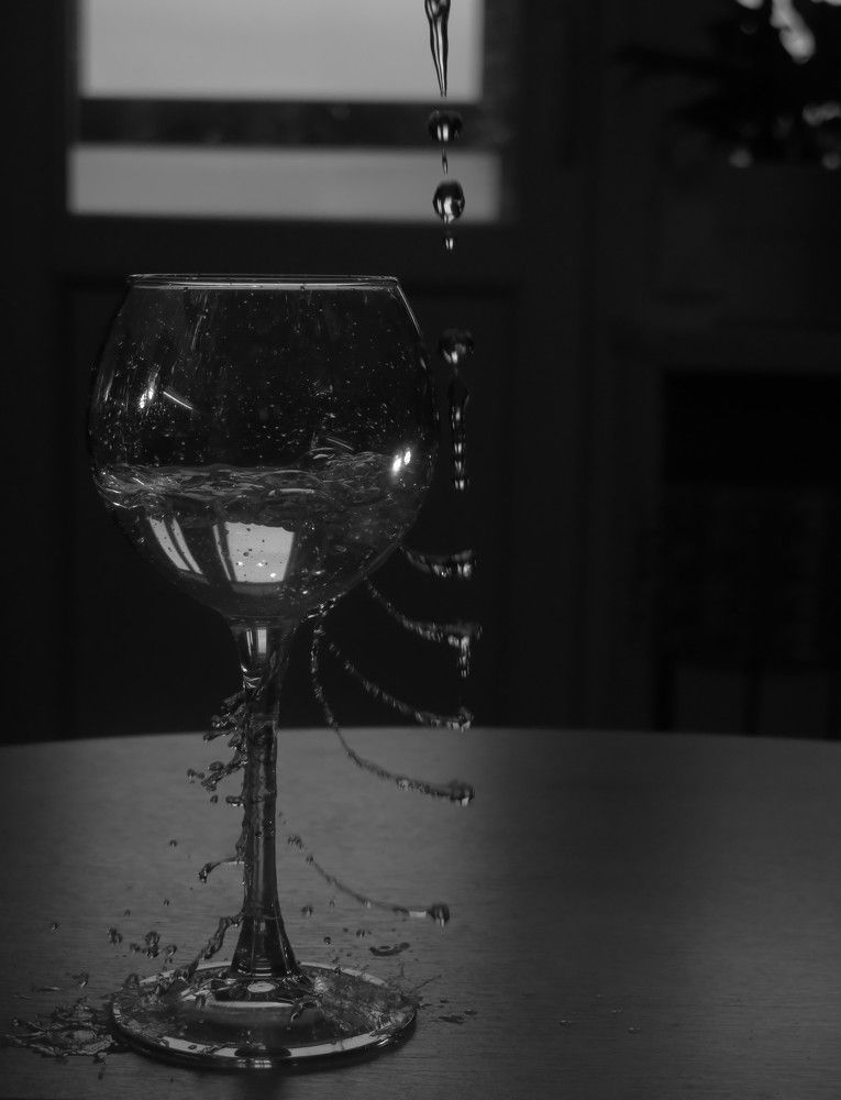 Photo #8762732