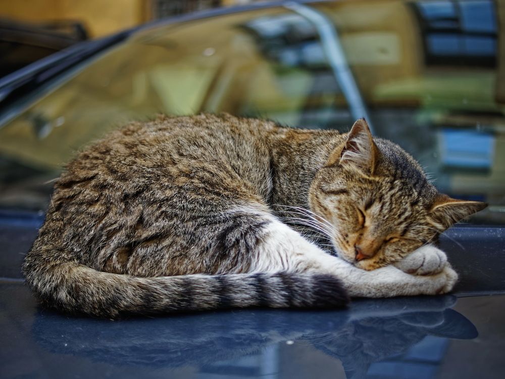 Photograph by Андрей Панин