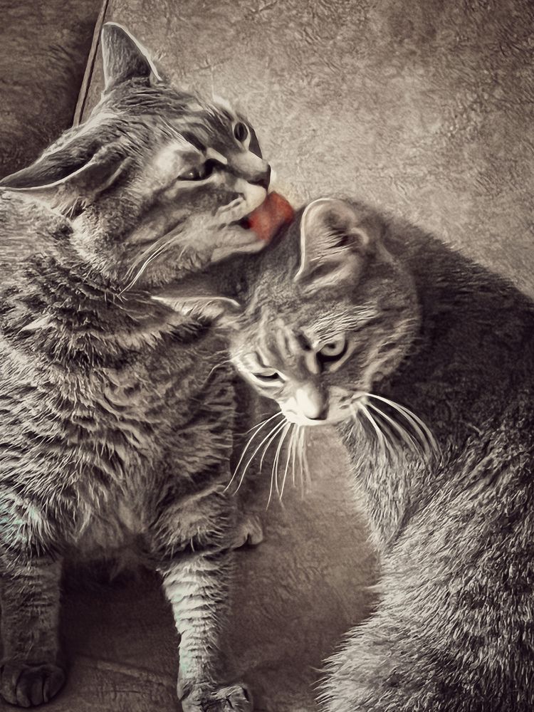 Photograph by Юлия Андреева