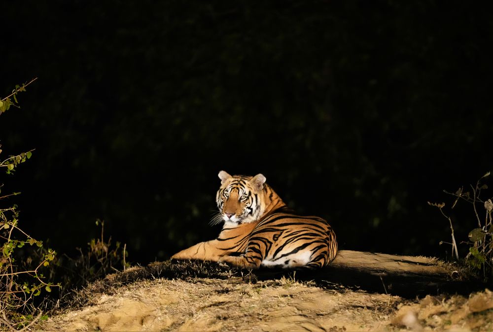 Photograph by Nirmalya Chakraborty