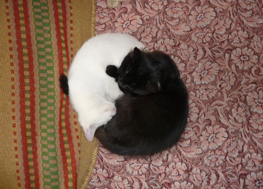 Photograph by Татьяна