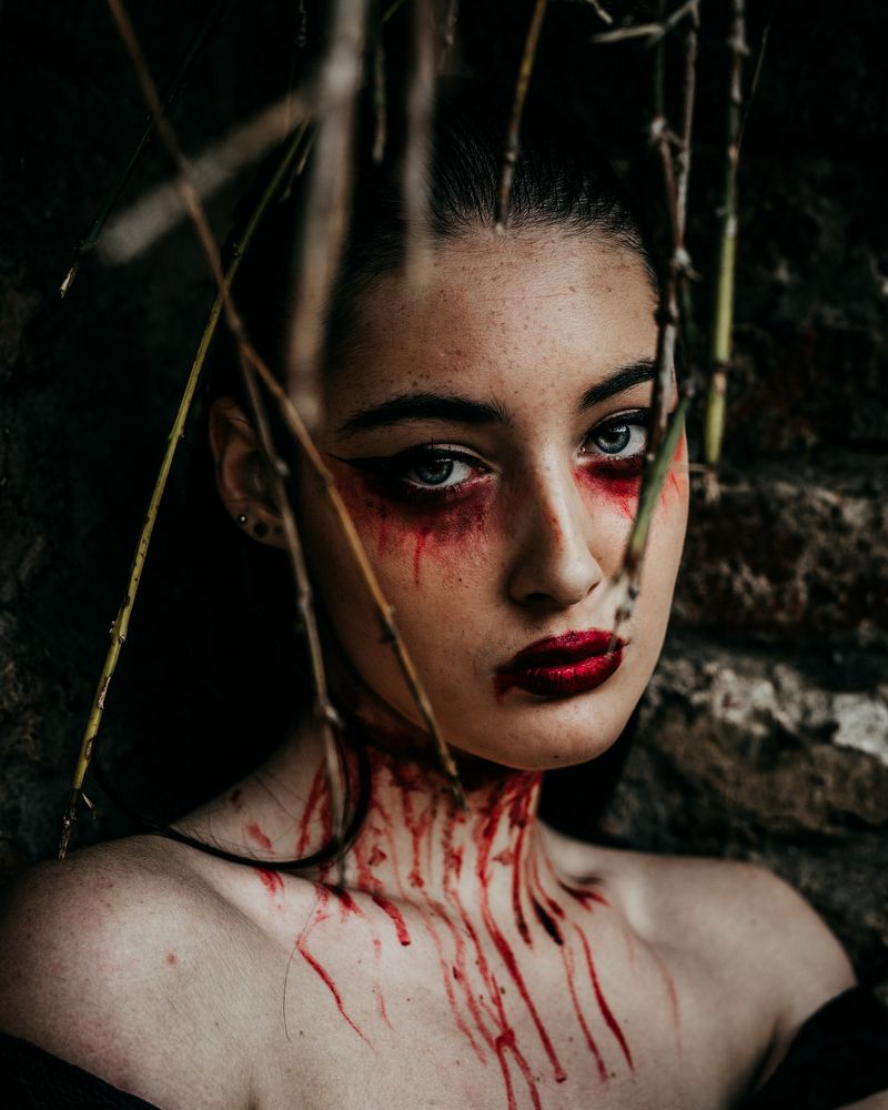 Фотография автора Bgs Zsolt