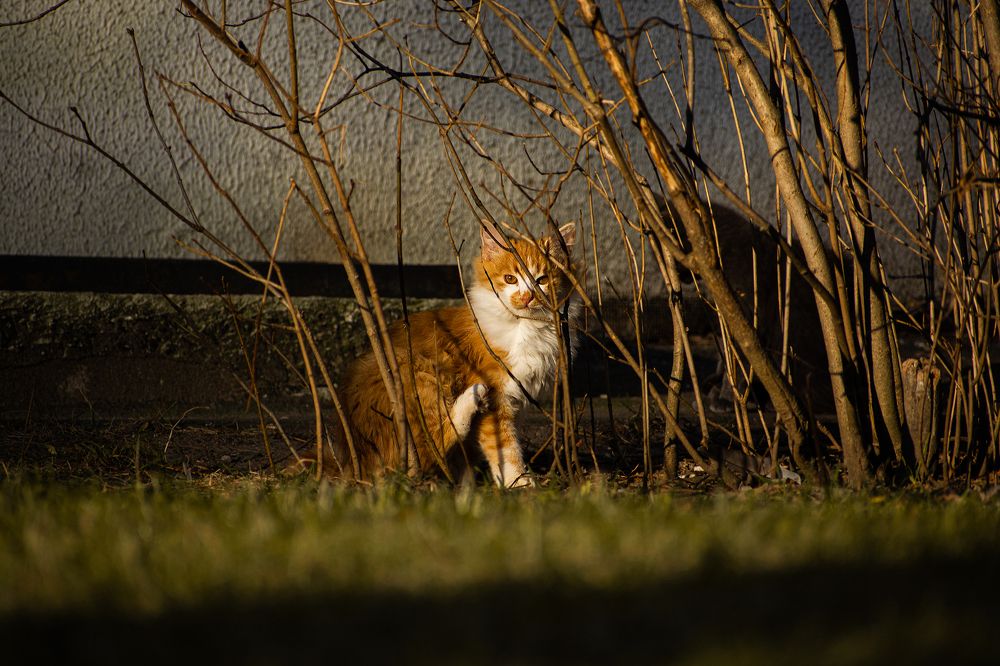 Photograph by Иван Колесенко