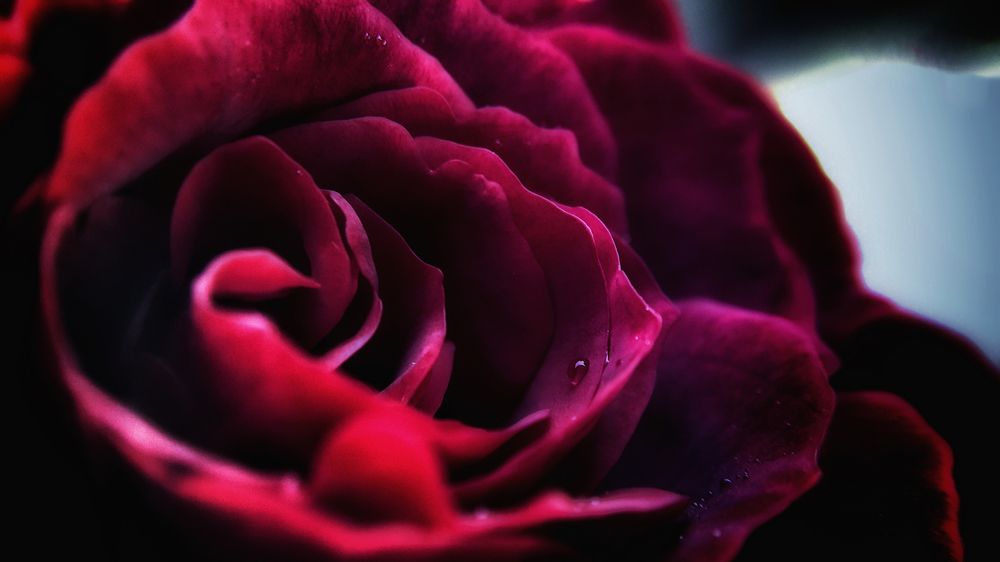 Photograph by Mahdi Reihani Bozorg