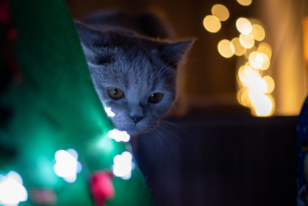 Photograph by Игнатьев Андрей
