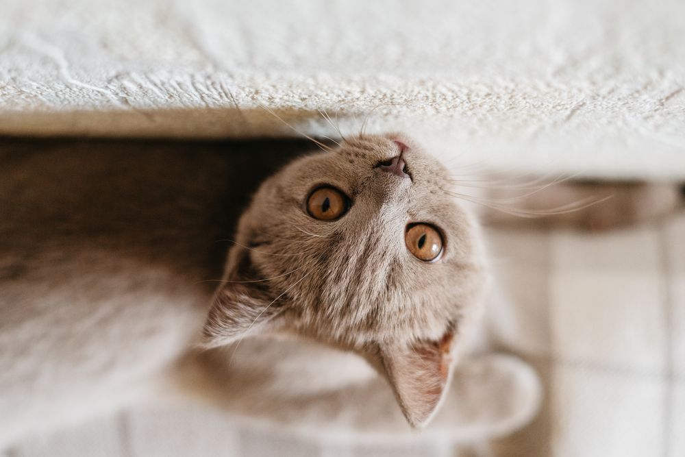 Photograph by Игнатьев Андрей