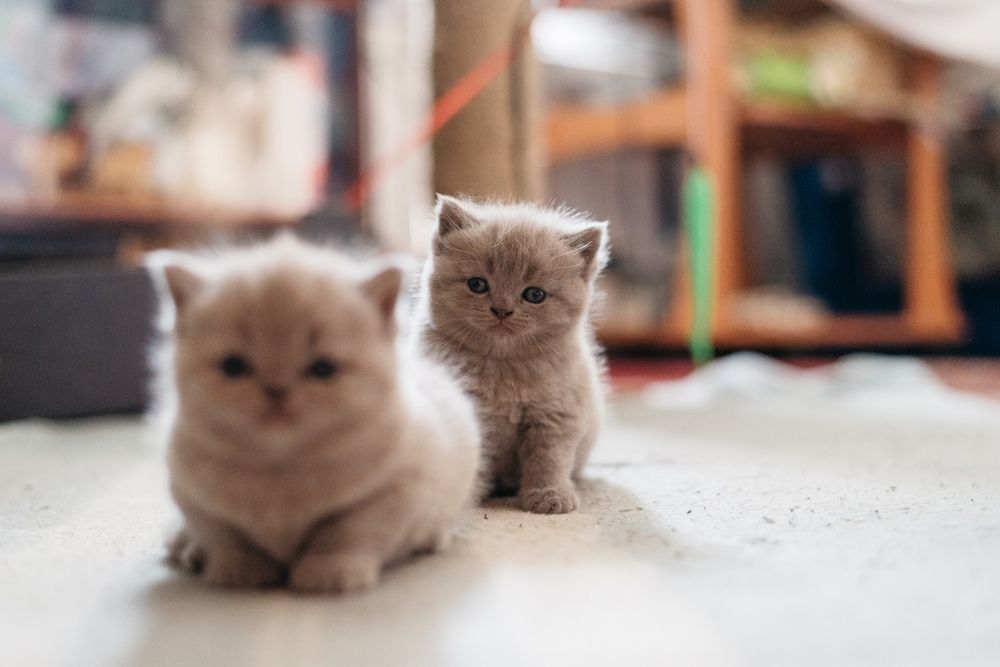 Photograph by Игнатьев Андрей