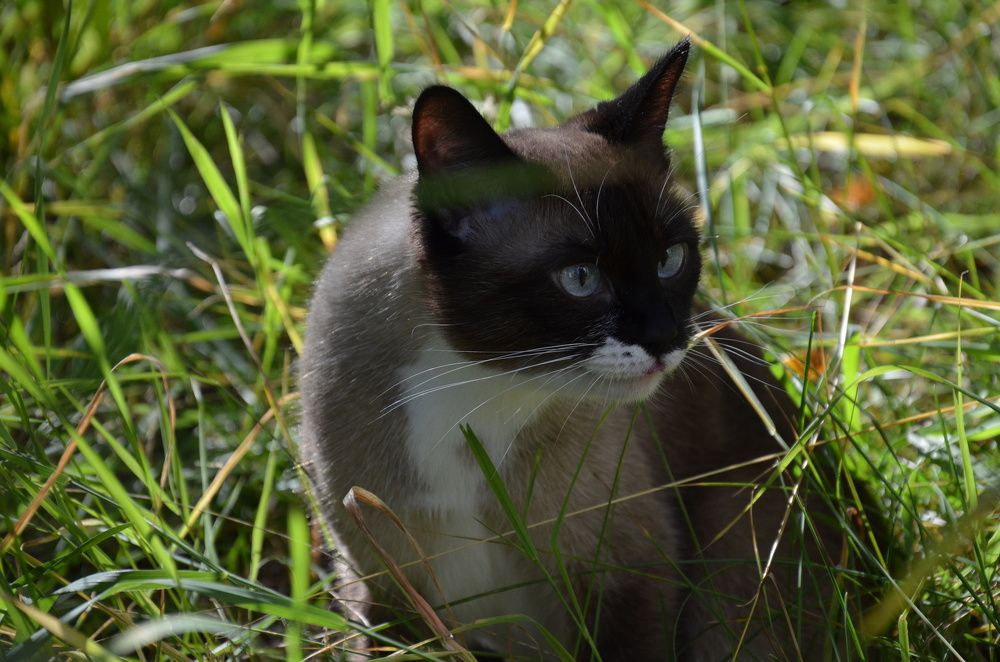 Photograph by Valentina