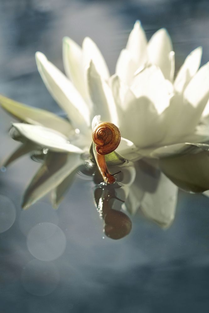 Photograph by Алена Полетаева