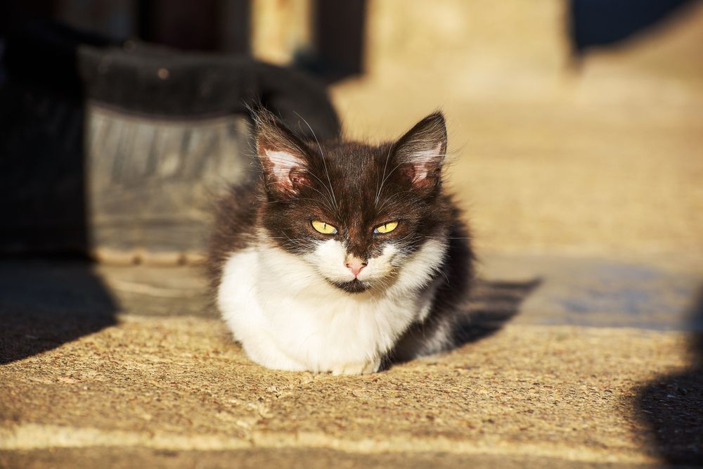 Photograph by Иван Колесенко