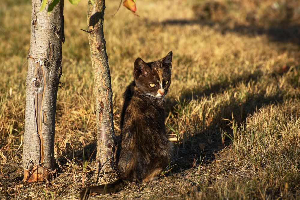 Photograph by Иван Колесенко