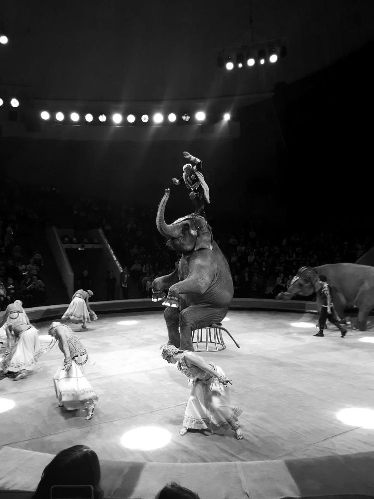 Photograph by Ирина Данилова