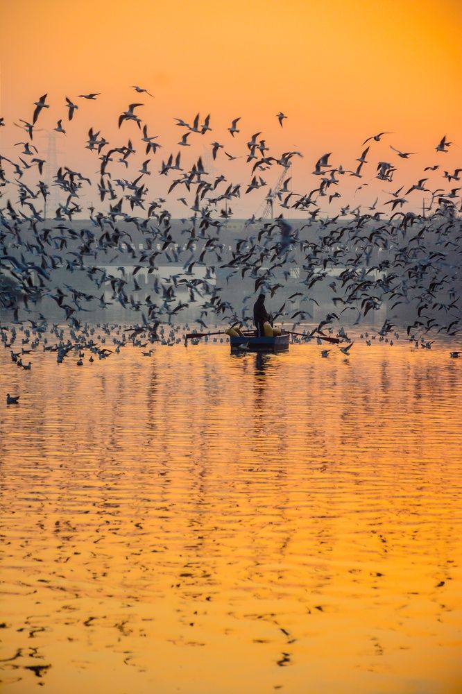 Photograph by Shreya Pandey