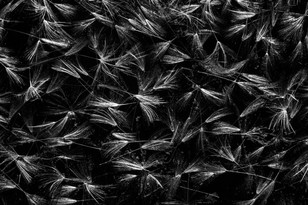 Photograph by Алексей Королев