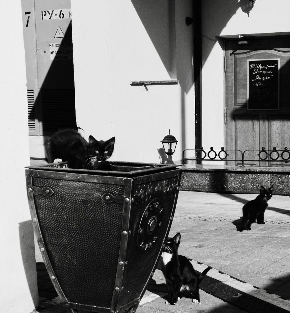 Photograph by Karina Aleksandrova