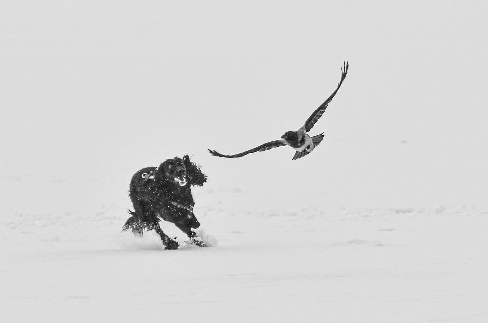 Photograph by Геннадий Глазнев