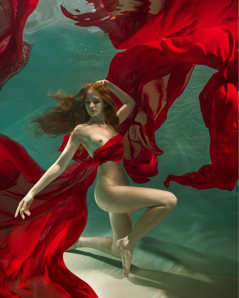 В интересах революции