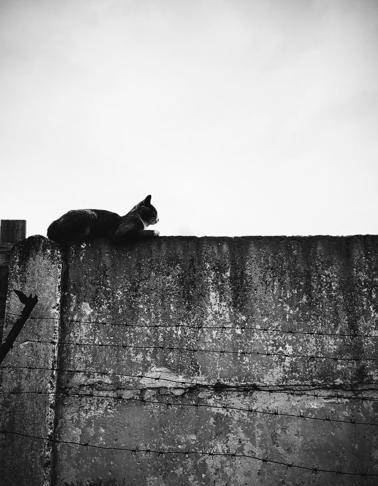 Photograph by Karina Aleksandrova