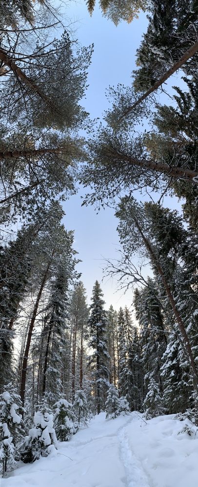 Photograph by Вероника Любицева