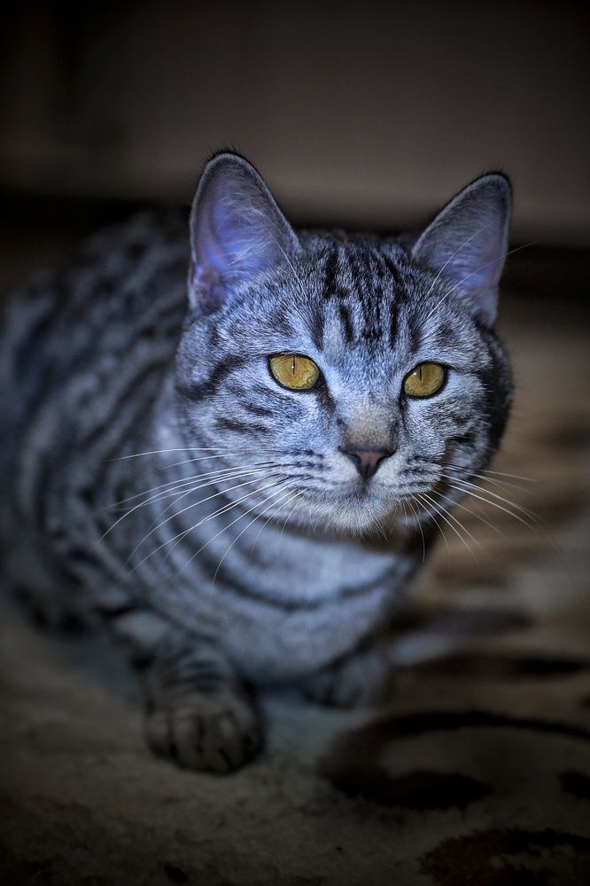 Photograph by Елена