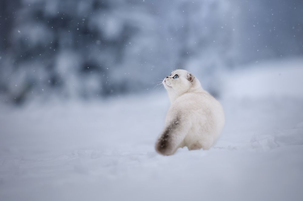 Photograph by Veronika Blažeková