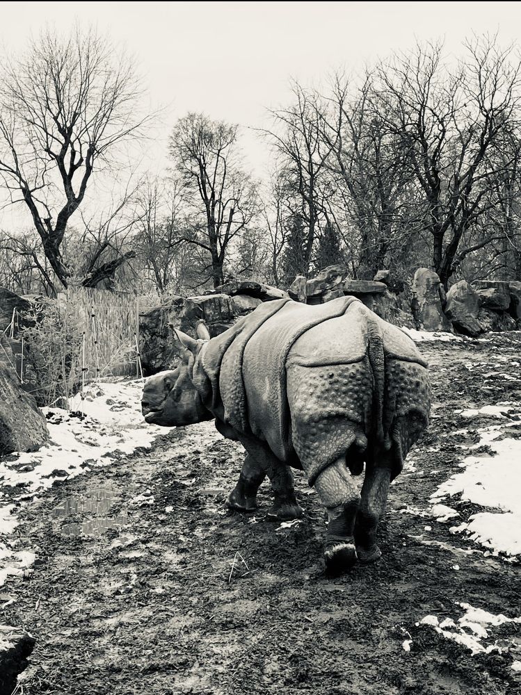 Photograph by Юлия Лебедева