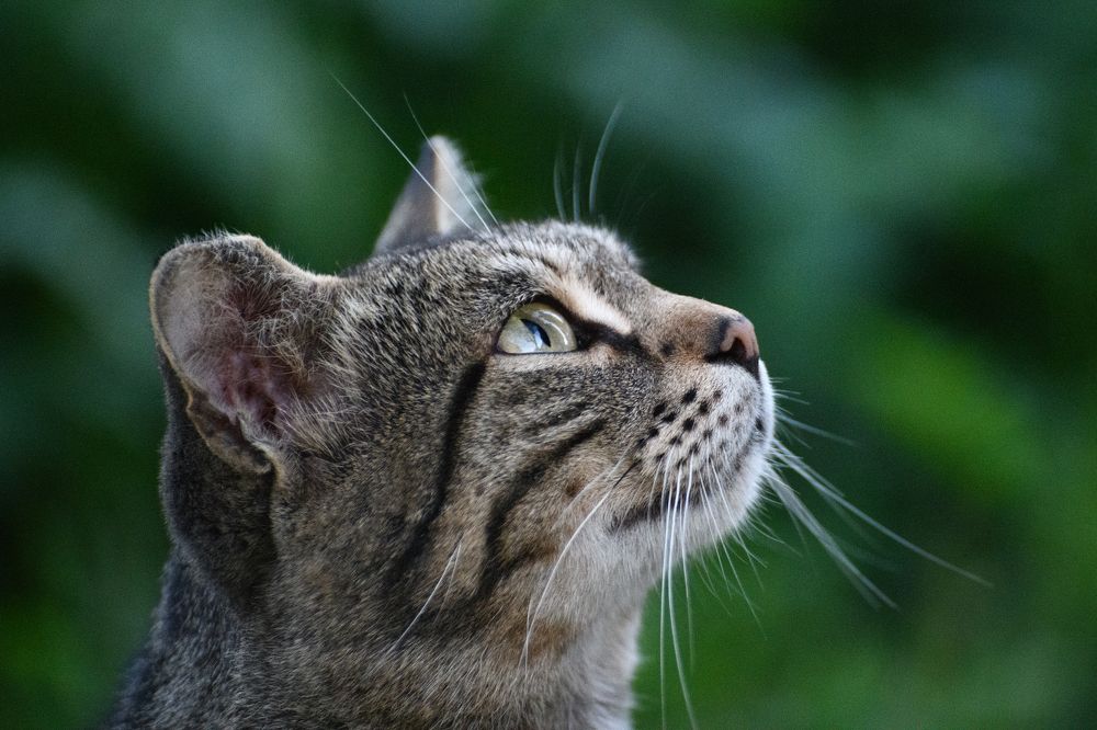 Photograph by Евгения Имаева