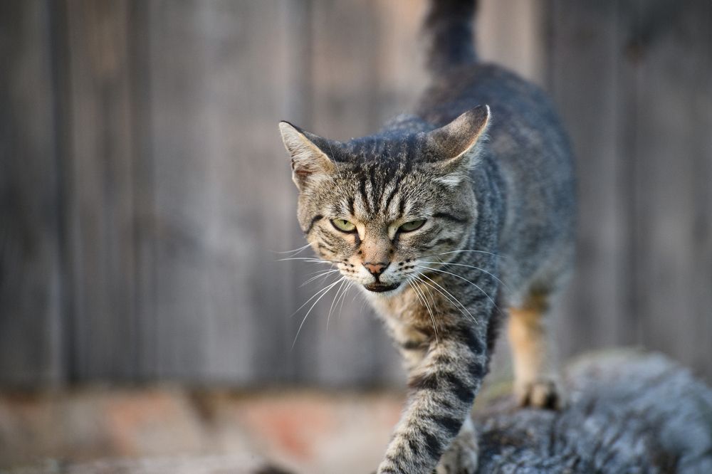 Photograph by Евгения Имаева