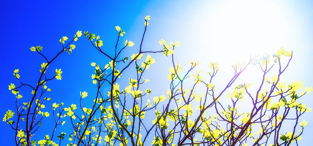 Photograph by Rustu Erata