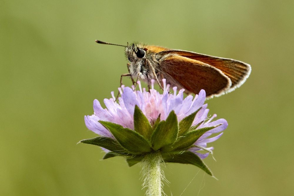 Photograph by Татьяна Полянская